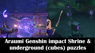 Araumi Genshin impact Shrine amp underground puzzlesCleansing defilement Quest location [upl. by Lyrrad]