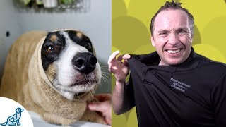 Simple Hacks To Bath Your Dog  Professional Dog Training Tips [upl. by Eikcaj577]