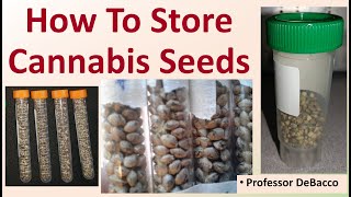 How To Store Cannabis Seeds [upl. by Suoicerpal]