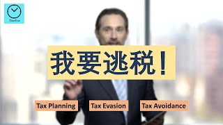 我要逃税！！！  Tax Planning Tax Evasion Tax Avoidance [upl. by Nnyla]