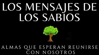 Los mensajes de los sabios Brian weiss Audiolibro completo en español voz humana [upl. by Kessia]