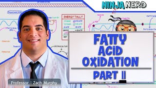 Metabolism  Fatty Acid Oxidation Part 2 [upl. by Irek]