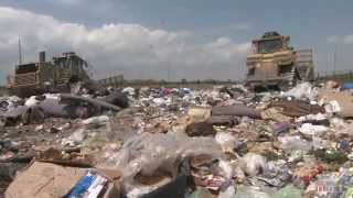 Tossed Out Food Waste in America [upl. by Rempe]