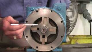 Blackmer Sliding Vane Pump Demonstration [upl. by Nedak]