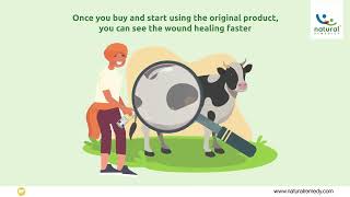 Heal Livestock Wounds Fast with Genuine Topicure Advance ™ [upl. by Artair835]