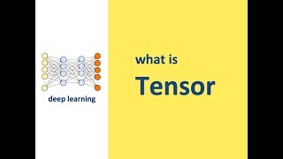 What is Tensor in Deep learning [upl. by Mandie251]