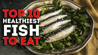 Top 10 Healthiest Fish To Eat [upl. by Chin]